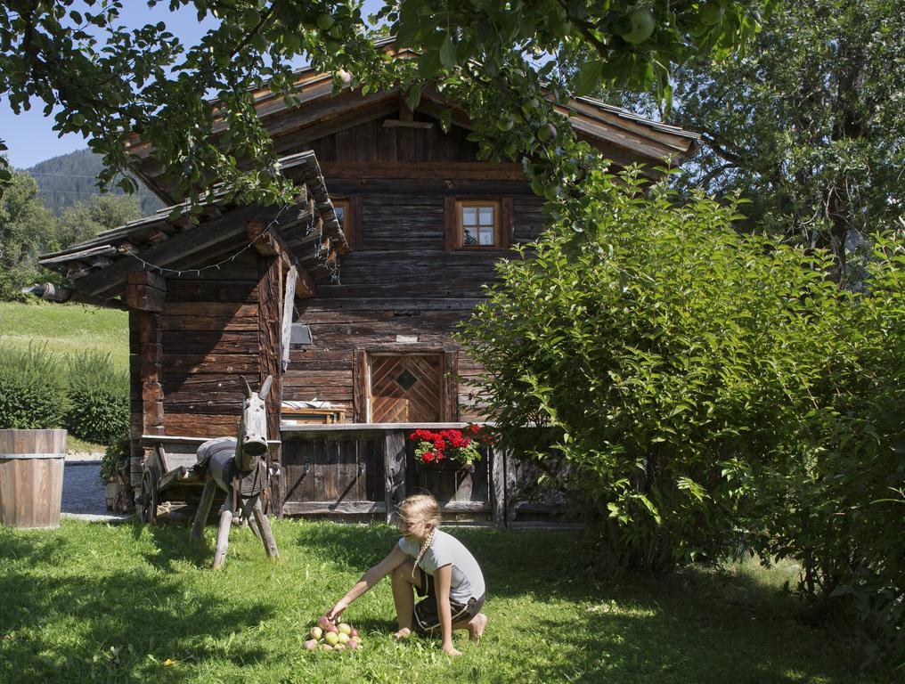 Straganzhof Villa Iselsberg Ngoại thất bức ảnh