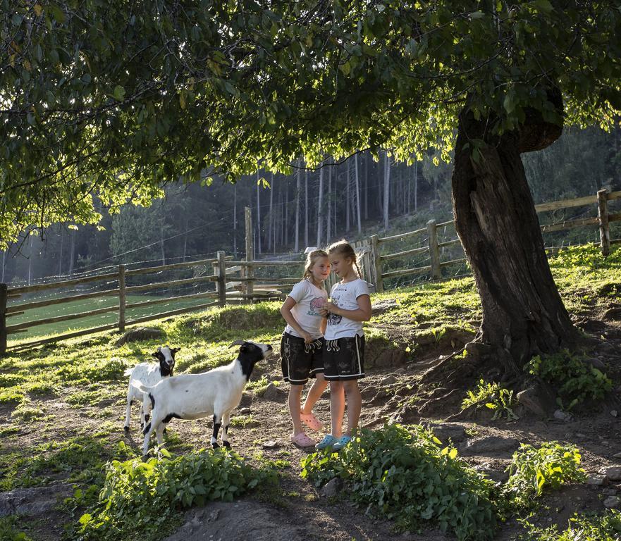 Straganzhof Villa Iselsberg Ngoại thất bức ảnh